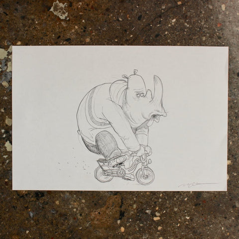 Rhino on a bicycle